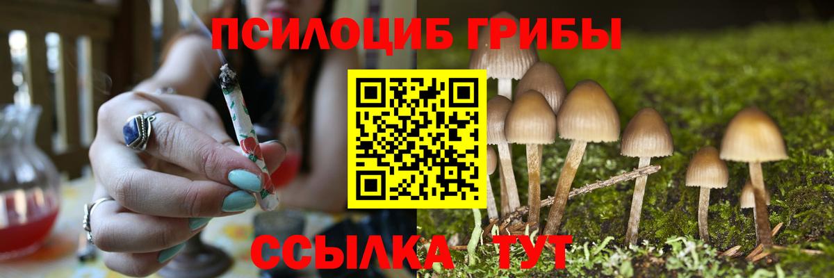Карасук  Псилоцибиновые грибы Psilocybe  Псилоцибиновые грибы Magic Shrooms  Вход с VPN 